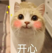 https://st-static1.ttxn.com/forums/2024/11/28/17327831712947.png