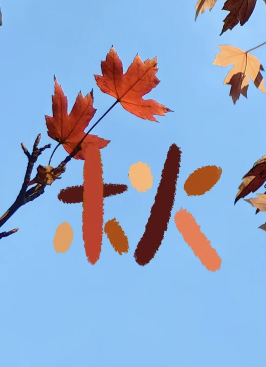 https://st-static1.ttxn.com/forums/2024/12/10/17338203181830.png