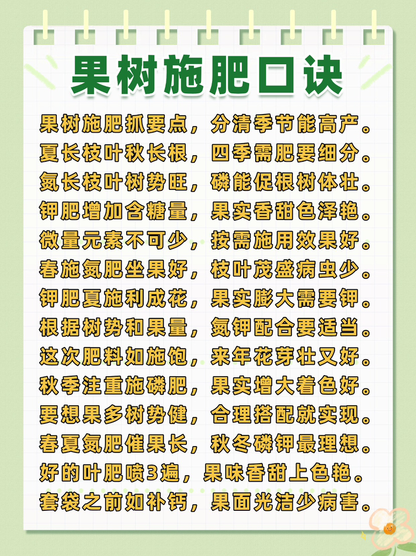 https://st-static1.ttxn.com/forums/2024/12/26/17351998504236.png