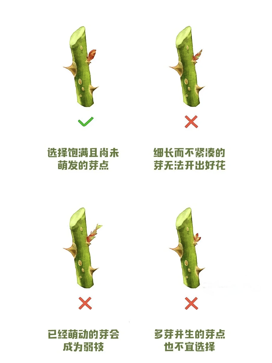 https://st-static1.ttxn.com/forums/2024/12/30/17355525117241.png