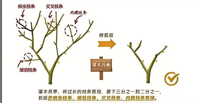 https://st-static1.ttxn.com/forums/2024/12/30/17355526554123.jpg