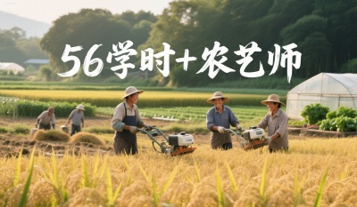 Ϊʲô80%ũῼ56ѧʱ+ũʦ˫֤