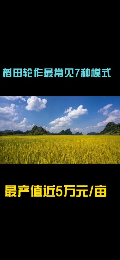 “һũҵյ룡1ӿˮ¸