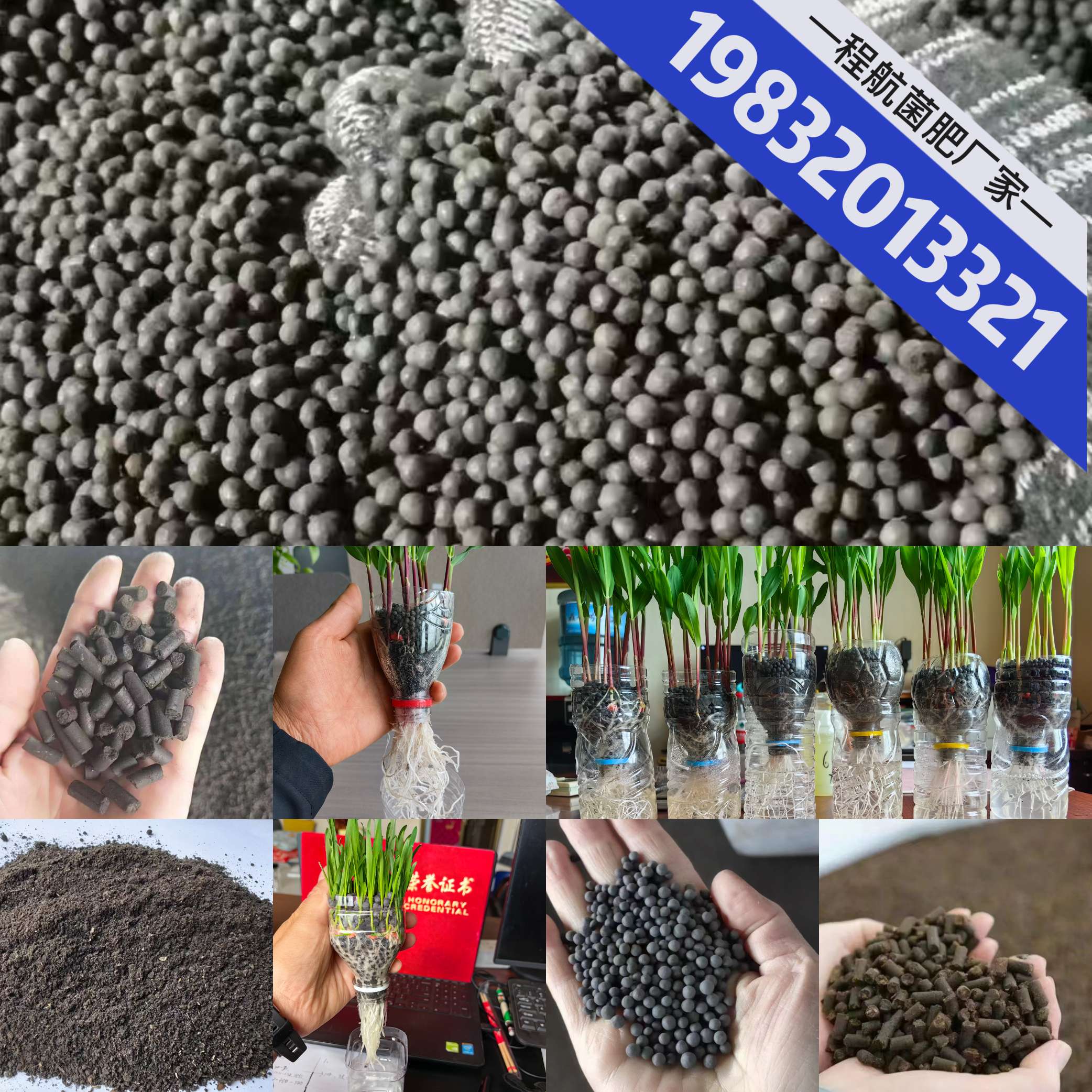 https://st-static1.ttxn.com/forums/2025/06/25/17508210784306.jpeg