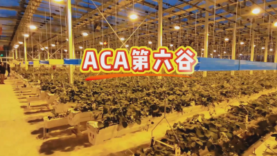 #ACA第六谷 模式，打造#ACA作物工厂，妄想建园到莳植莳植水肥管理一站式服务！#可控农业 #华维集团