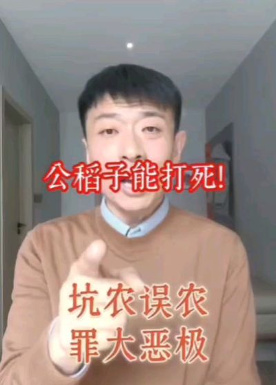 公稻子可以打死？纯属误农！