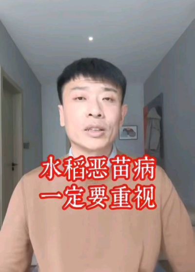 水稻恶苗病发生原因及预防！