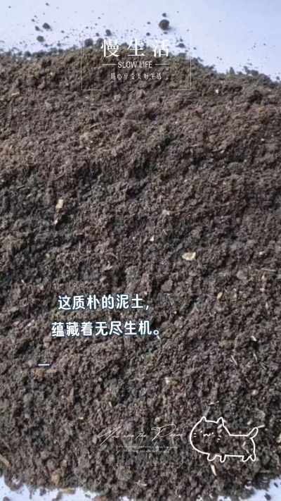 лʳֱ