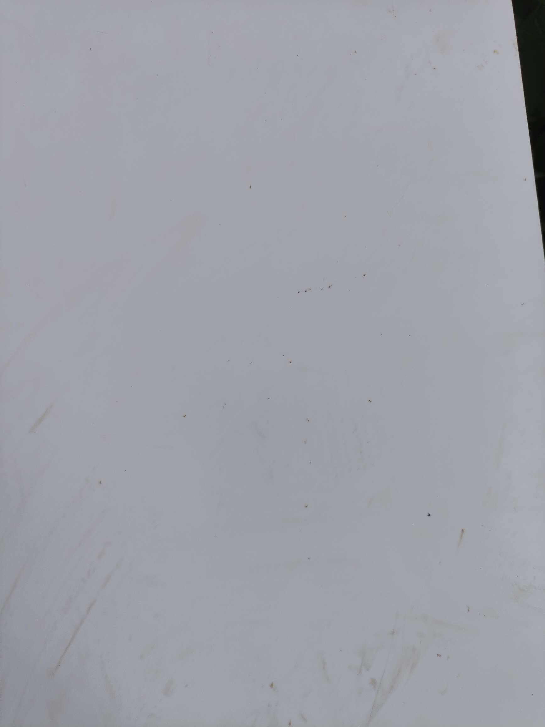 https://st-static1.ttxn.com/forums/2025/08/18/17555288245629.jpeg
