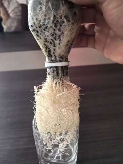 ʮֵлȫ㷢ȫƷϣлʡʡ΢ϵ