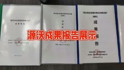 ԴַҵʵЧԼⱨ 19033373300