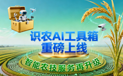 识农AI推出全场景“农业AI百宝箱”：病害、虫害、AI称重、AI数果、AI兑水一网打尽！农业人的终极