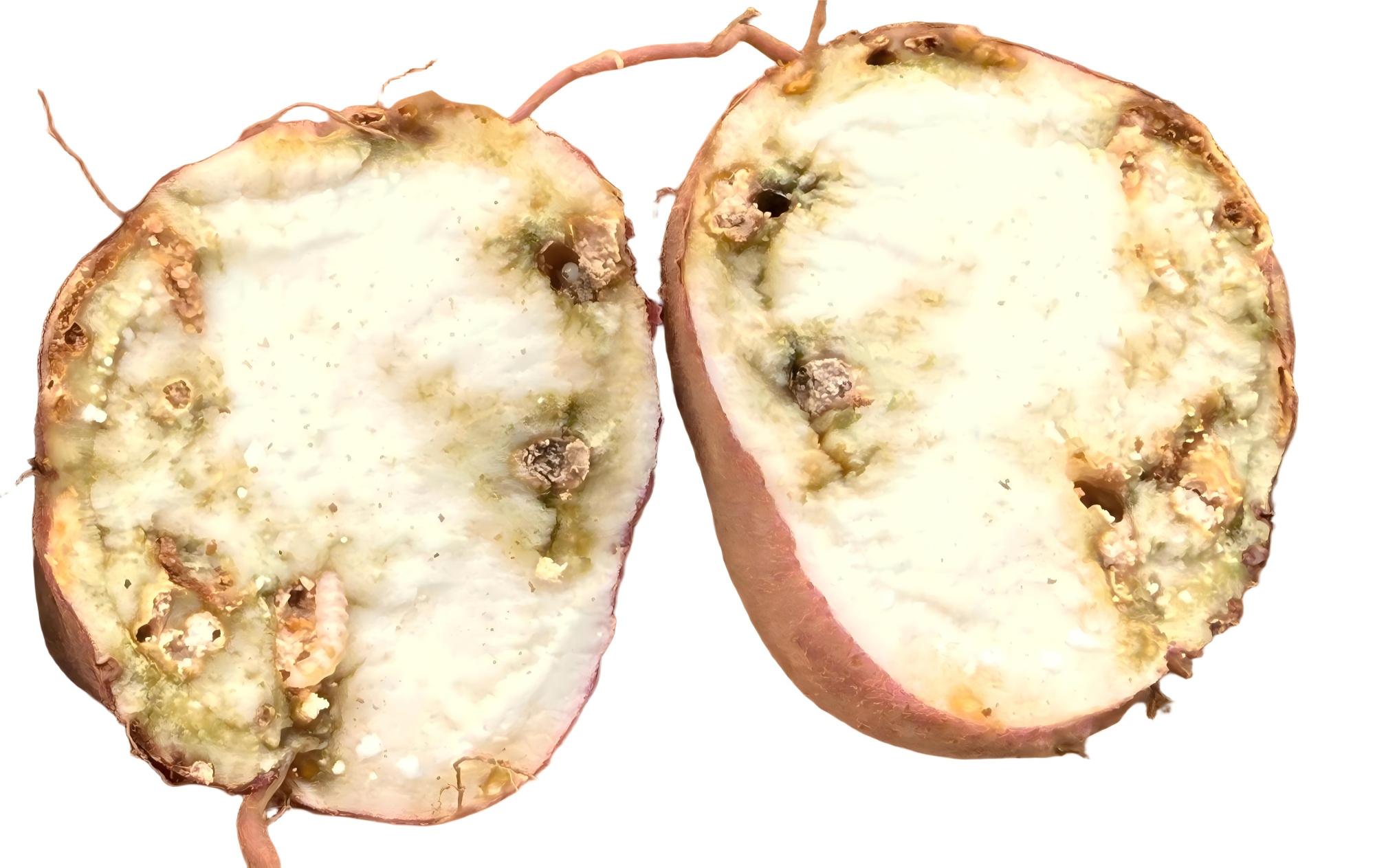 MK(MKsports)ɷݹ˾ - Mk Sports