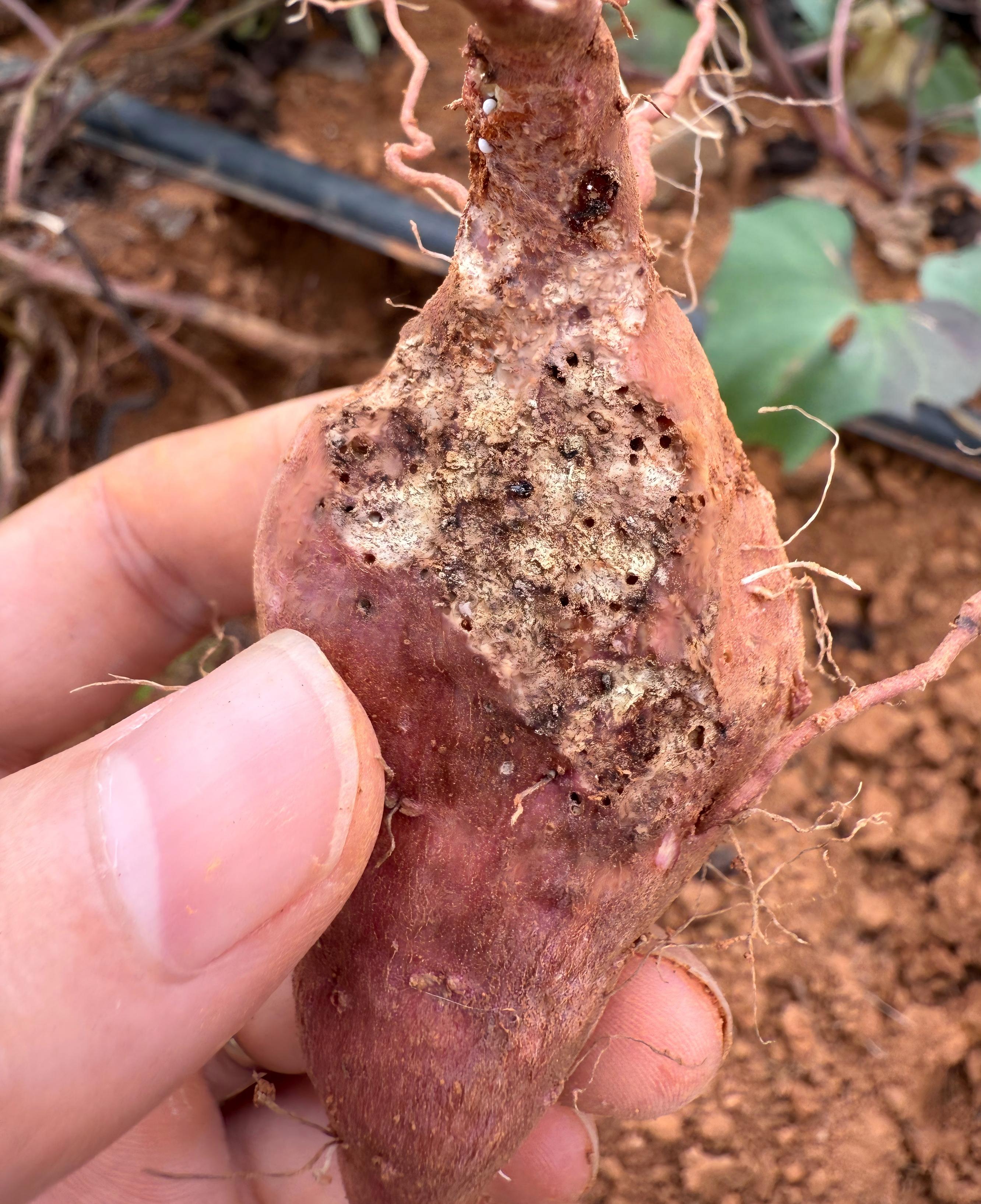 MK(MKsports)ɷݹ˾ - Mk Sports