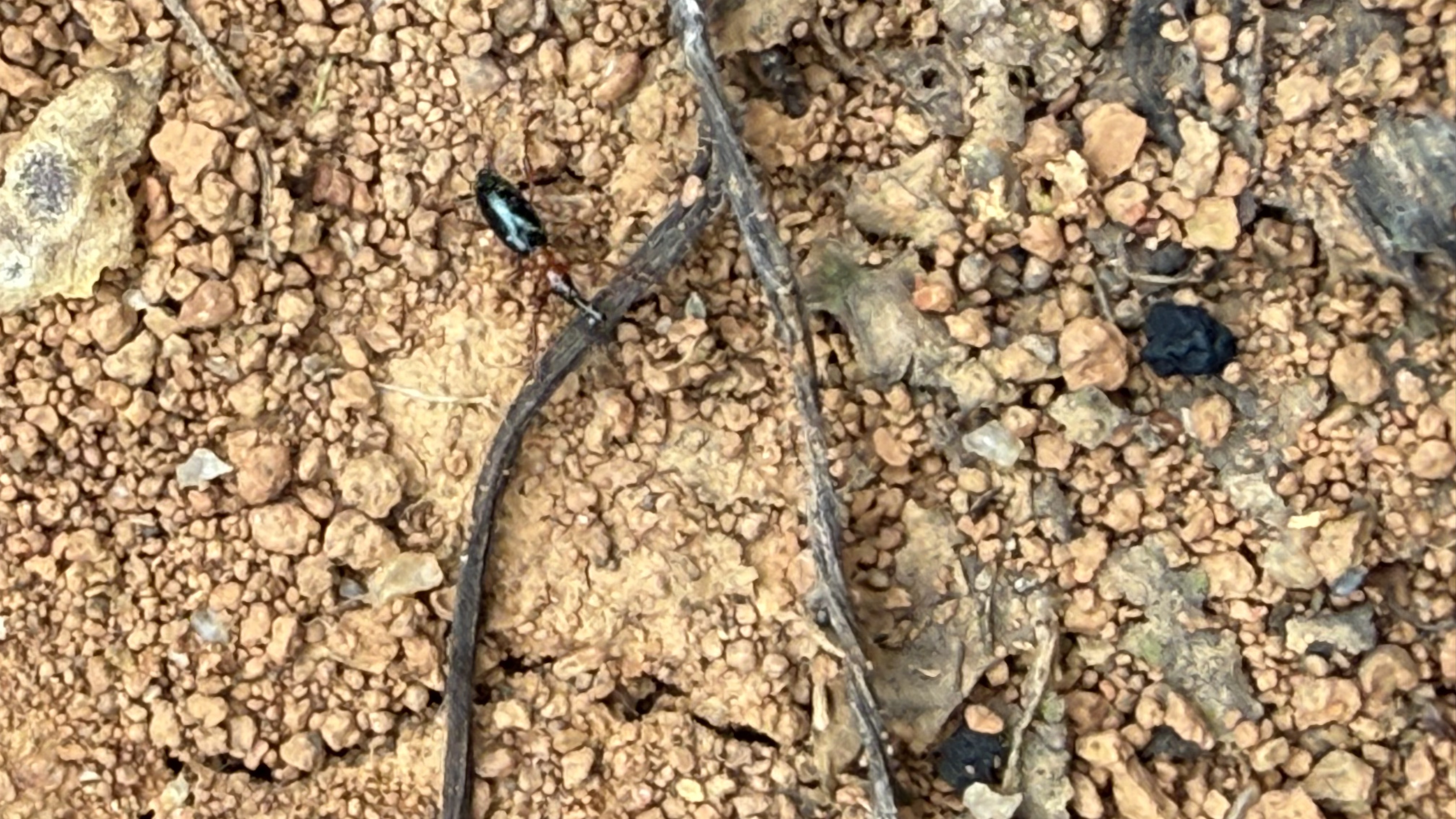 MK(MKsports)ɷݹ˾ - Mk Sports