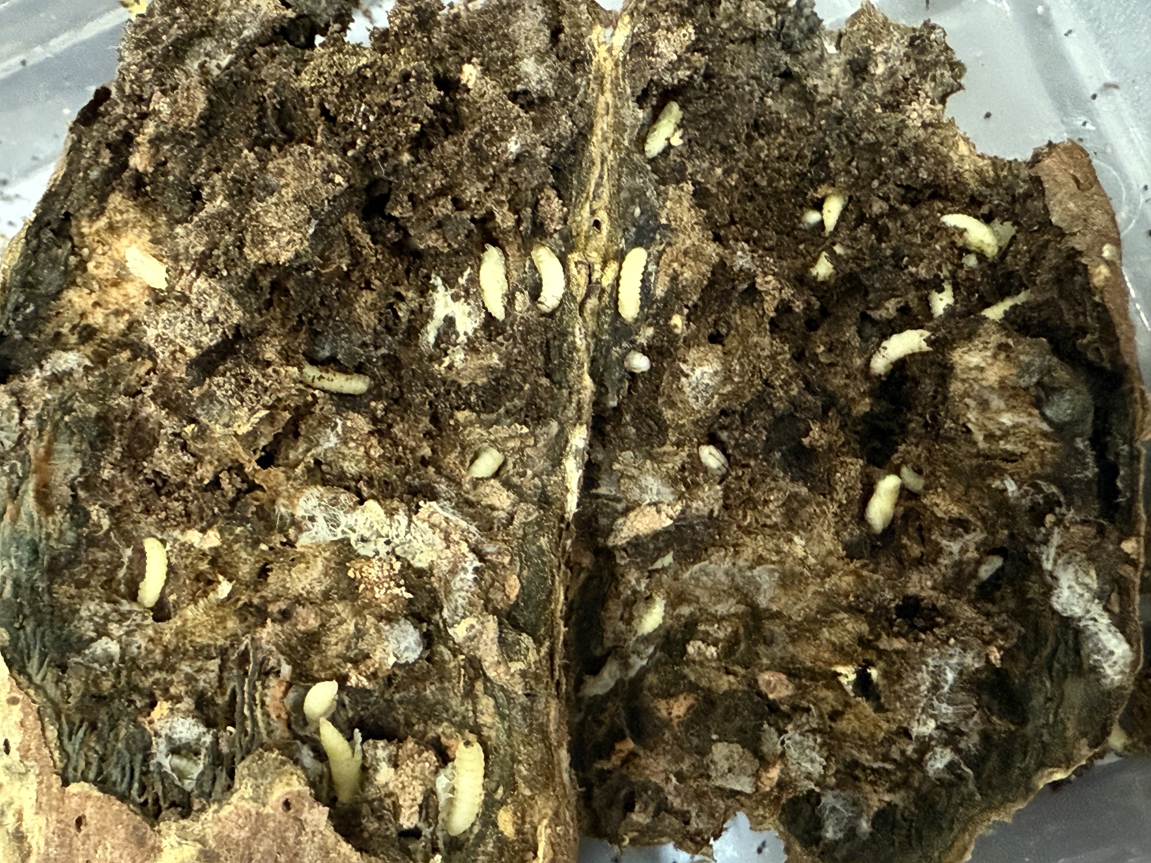 MK(MKsports)ɷݹ˾ - Mk Sports