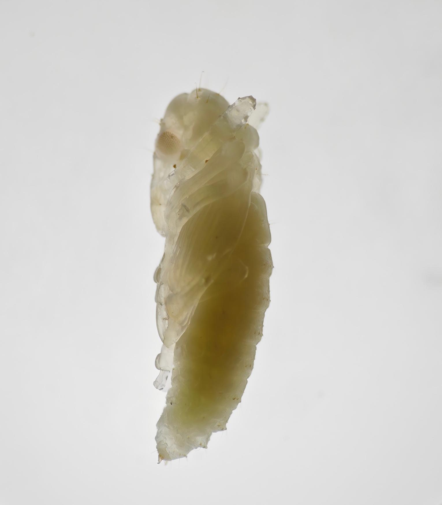 MK(MKsports)ɷݹ˾ - Mk Sports