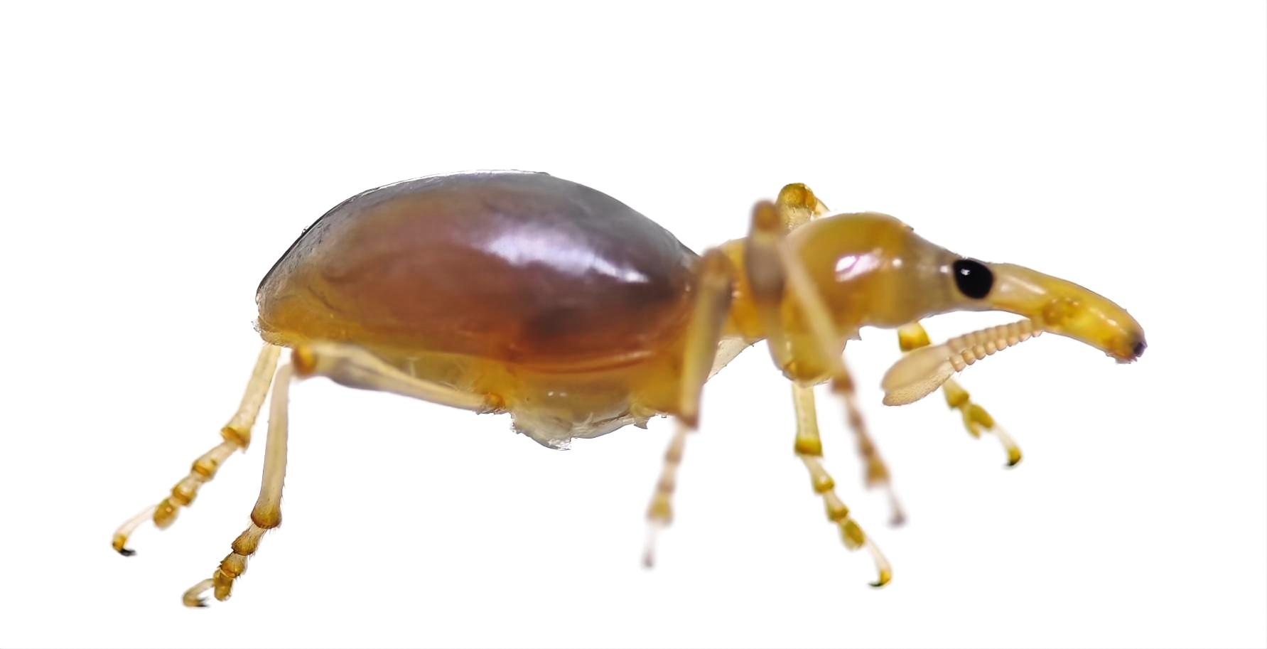 MK(MKsports)ɷݹ˾ - Mk Sports