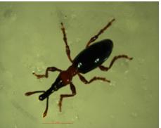 MK(MKsports)ɷݹ˾ - Mk Sports