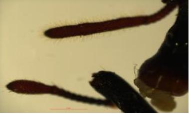 MK(MKsports)ɷݹ˾ - Mk Sports