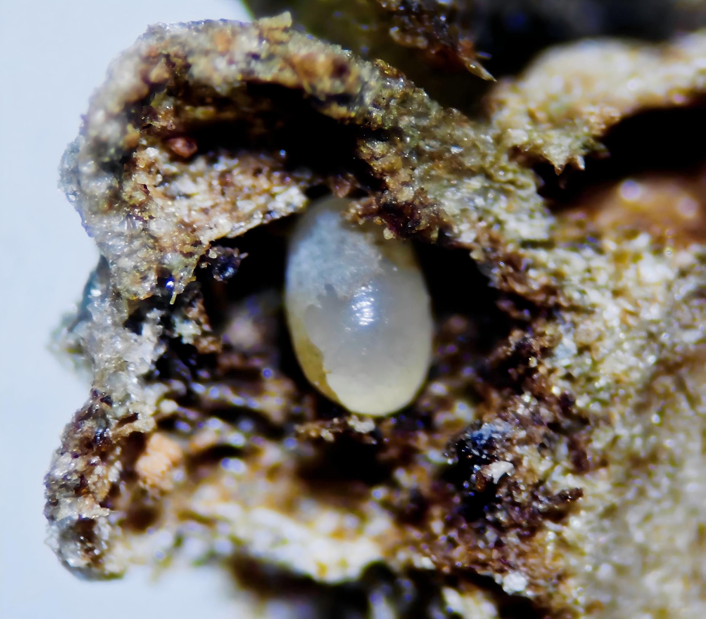 MK(MKsports)ɷݹ˾ - Mk Sports