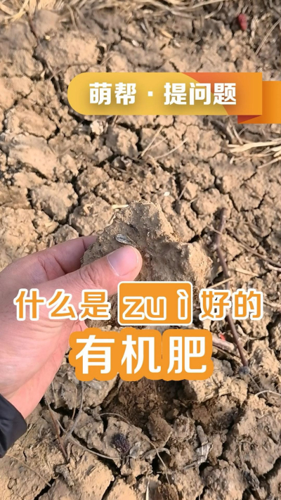 什么是最好的有机肥