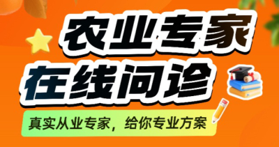 作物长势差、病虫害难搞？别自己瞎琢磨了！1对1农业专家在线问诊，把专家“请”到你地里！