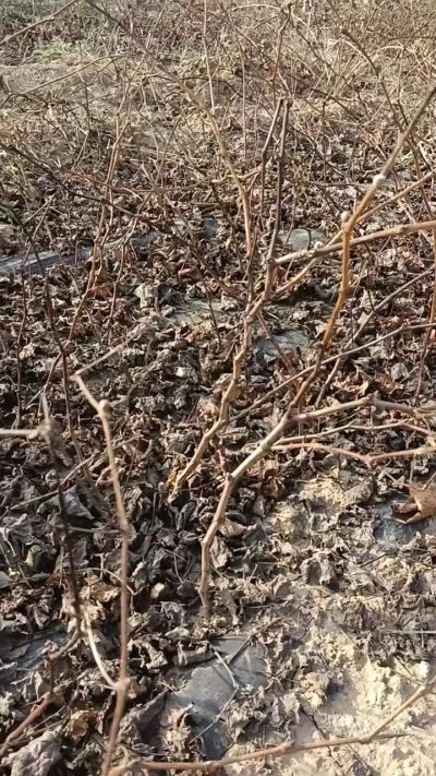 ̫˺һǤҪϵ