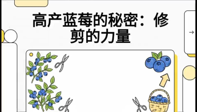 ��5��:  ʩ�ʵĽ���&mdash;&mdash;��ݮ��&ldquo;�Ӹ�����&rdquo;���γ̣�����ݮ&ldquo;�߲�&rdquo;ʵս�Σ���ѡ�絽���յ�10��Ҫ���㡷