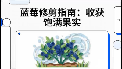 ��6��:  �޼�����������ϣ�&mdash;&mdash;��������������޼� ���γ̣�����ݮ&ldquo;�߲�&rdquo;ʵս�Σ���ѡ�絽���յ�10��Ҫ���㡷