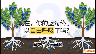 ��3�ڣ������&ldquo;����&rdquo;&mdash;&mdash;׼ȷ�Ķ�ֲ�뻻���ַ�,   �γ̣�����ݮ&ldquo;�߲�&rdquo;ʵս�Σ���ѡ�絽���յ�10��Ҫ���㡷