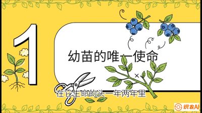 ��6�ڣ��޼�����������ϣ�&mdash;&mdash;��������������޼��� �γ̣�����ݮ&ldquo;�߲�&rdquo;ʵս�Σ���ѡ�絽���յ�10��Ҫ���㡷