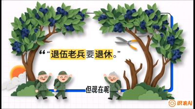 第7节：修剪决定产量（下）&mdash;&mdash;结果树的更新与疏果，课程：《蓝莓&ldquo;高产&rdquo;实战课：从选苗到丰收的10个关键点》