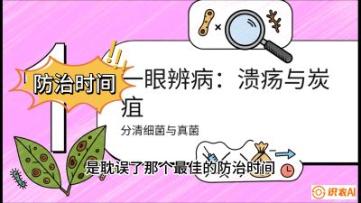 第三节：细菌与真菌&mdash;&mdash;溃疡病与炭疽病，课程：《柑橘十大病虫害：从入门到精通》