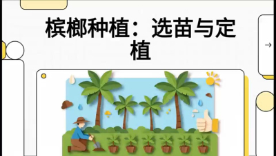 第01节：选苗与定植&mdash;&mdash;&ldquo;苗好一半收，底肥定千秋&rdquo;课程：《槟榔种植：从不懂到精通的10堂必修课》
