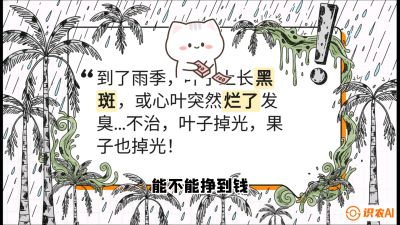 第05节：常见真菌病害&mdash;&mdash;&ldquo;炭疽与烂心，早防值千金&rdquo;《槟榔种植：从不懂到精通的10堂必修课》