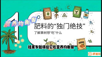 第07节：科学施肥&mdash;&mdash;&ldquo;氮磷钾配好，树壮果不倒