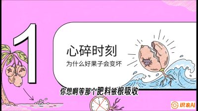 第08节：微量元素与保果&mdash;&mdash;&ldquo;补硼又补钙，果子不裂坏&rdquo;《槟榔种植：从不懂到精通的10堂必修课》