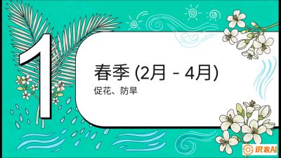 第10节：周年农事日历&mdash;&mdash;&ldquo;跟着节气走，丰产在手头&rdquo;《槟榔种植：从不懂到精通的10堂必修课》