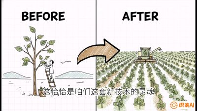 第02节：把树变成草&mdash;&mdash;&ldquo;草本化密植&rdquo;技术，课程：《桑海淘金：桑树高产与蚕桑安全进阶实战课》