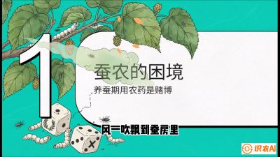 第06节：虫口夺叶（上）&mdash;&mdash;物理与生物防控绝技，课程《桑海淘金：桑树高产与蚕桑安全进阶实战课》