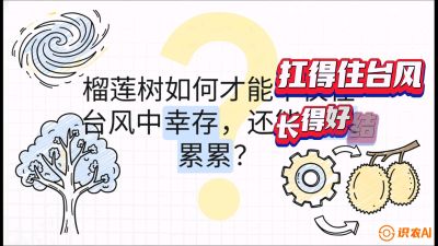 ���Ľڣ��й�����ͻΧս��Ϊ��������Ȩ�ͣ���̨�簫��ݪֲ����ѧǣ�����γ̣�����������ͻΧս����̩���������й�ʵ�ٵ�8�ñ��޿Σ��߽�ʵս�棩��