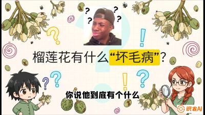 �����ڣ���������ҹս�£�ҹ���ڷ�ս�뻨���ڱ���ս�ԣ��γ̣�����������ͻΧս����̩���������й�ʵ�ٵ�8�ñ��޿Σ��߽�ʵս�棩��