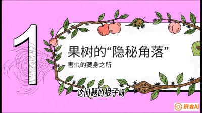 第3节：无人机专治&ldquo;打不透&rdquo;&mdash;&mdash;果树与高杆作物的穿透技巧，课程：《无人机植保搞钱必修课：从&ldquo;瞎飞&rdquo;到&ldquo;懂行&rdquo;的6步进阶》