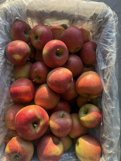 ���ص�ϼƻ�����ڳ���