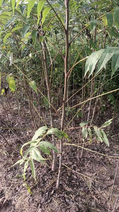 ����������һ��������Ҫ��ϵ��