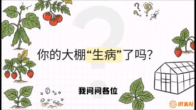 第2节（解毒篇）： 大棚里的&ldquo;红白绿&rdquo;警报&mdash;&mdash;读懂土壤盐渍化的求救信号，课程：《揭秘土壤的秘密：让土地帮你赚钱》#识农AI
