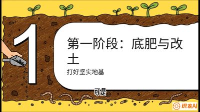 第6节（统筹篇）： 省钱又增产的&ldquo;黄金配比&rdquo;&mdash;&mdash;不同作物全年的养土实操方案，课程：《揭秘土壤的秘密：让土地帮你赚钱》#识农AI