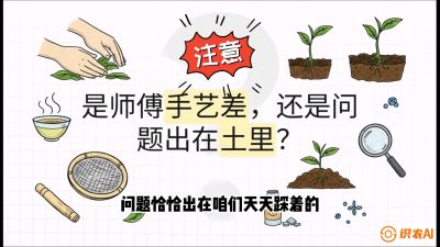 第02节（土肥篇）：告别&ldquo;苦涩水味&rdquo;：揭秘&ldquo;碳氮比&rdquo;调控术，种出自带兰花香的好茶底，课程：《茶金时代：从&ldquo;看天吃饭&rdquo;到&ldquo;精准控局&rdquo;的茶叶高产提质实战课》