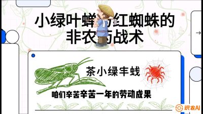 第03节（虫害篇）：看不见的吸血鬼：小绿叶蝉与红蜘蛛的&ldquo;非农药&rdquo;团灭战术（抗性治理），课程：《茶金时代：从&ldquo;看天吃饭&rdquo;到&ldquo;精准控局&rdquo;的茶叶高产提质实战课》